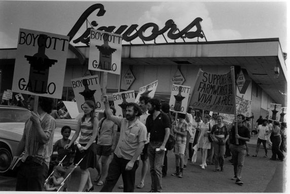 (3705) Gallo Boycott, Demonstration
